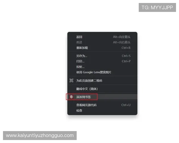 设置开云网址登录入口书签，方便你的每一天登录体验